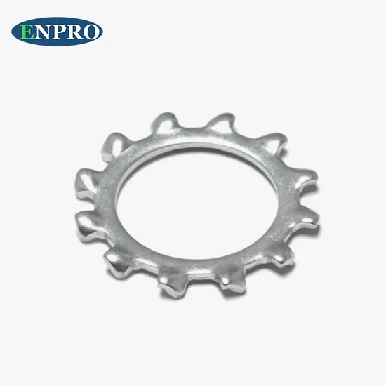 DIN6798 High Pressure Washer Stainless Steel Metal External Serrated Lock Washer